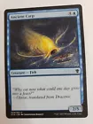 Ancient Carp