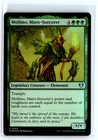 Molimo, Maro-Sorcerer