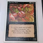 Carrion Ants