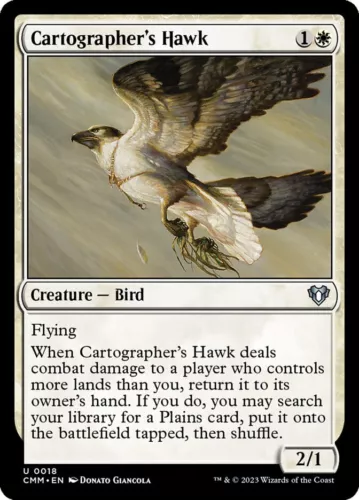 Cartographer's Hawk #