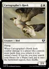 Cartographer's Hawk #
