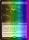 Champion of Arashin