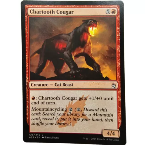 Chartooth Cougar