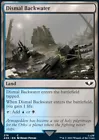 Dismal Backwater