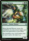 Eternal Witness #