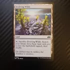 Evolving Wilds #
