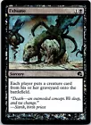 Rise from the Grave