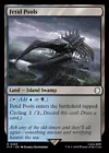 Fetid Pools #