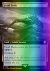 Fetid Pools #