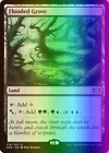 Flooded Grove