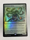 Aspect of Hydra