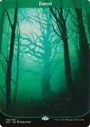 Forest #