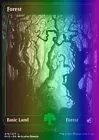 Forest [Foil] #