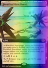 Fortified Beachhead [Extended Art] #