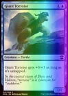 Giant Tortoise