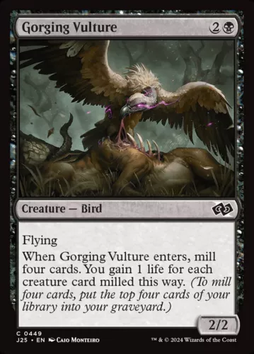 Gorging Vulture #