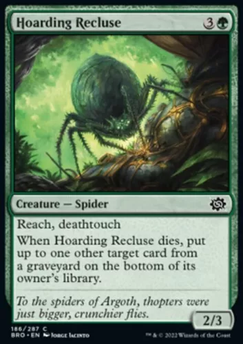 Hoarding Recluse #