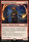 Storm Shaman