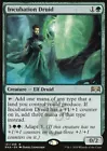 Fyndhorn Druid