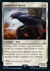 Keen-Eyed Raven #