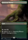 Llanowar Wastes [Borderless] #