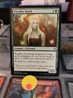 Paradise Druid