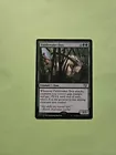 Pathbreaker Ibex