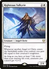 Adarkar Valkyrie