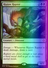 Raptor Companion