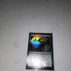 Rishkar's Expertise [Foil] #