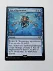 Rite of Replication