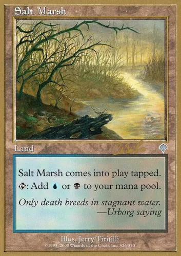 Salt Marsh