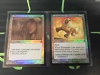 Savannah Lions