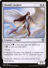 Shalai's Acolyte #
