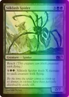 Silklash Spider