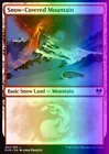 Snow-Covered Swamp