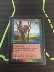Forest [Foil] #