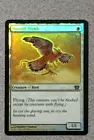 Suntail Hawk