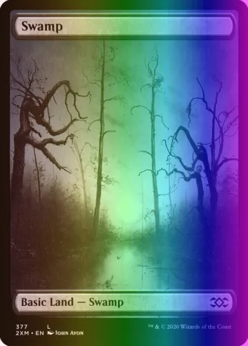 Swamp