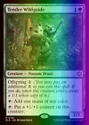 Tender Wildguide #