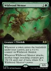 Evolving Wilds [Foil] #
