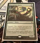 Managorger Hydra