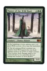 Thornhide Wolves