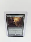 Sylvan Safekeeper