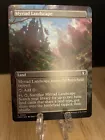Myriad Landscape #