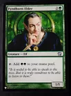 Fyndhorn Elder