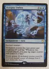 Octopus Umbra
