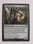 Pathbreaker Ibex