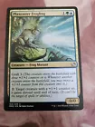 Frog Lizard & Germ Token