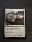 Prismatic Lens